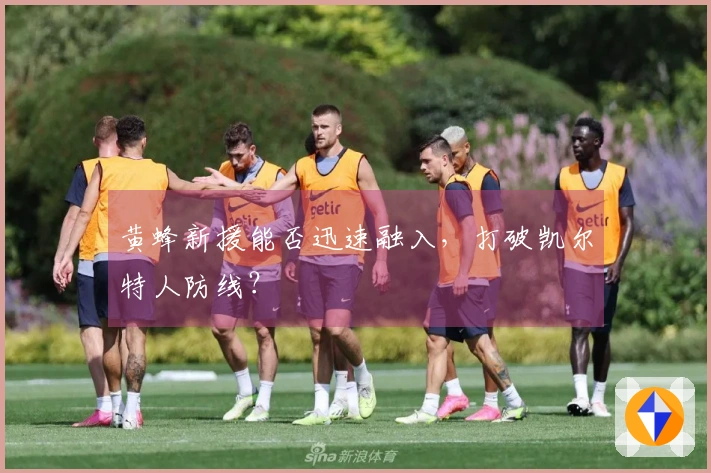 黄蜂新援能否迅速融入，打破凯尔特人防线？